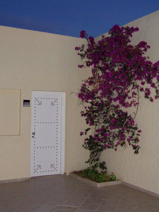 Eingang TUI MAGIC LIFE Penelope Beach