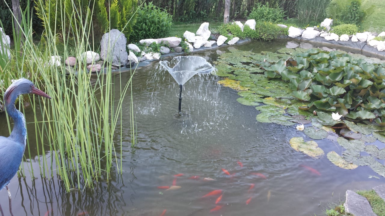 Gartenanlage Gästehaus Kilianmühle