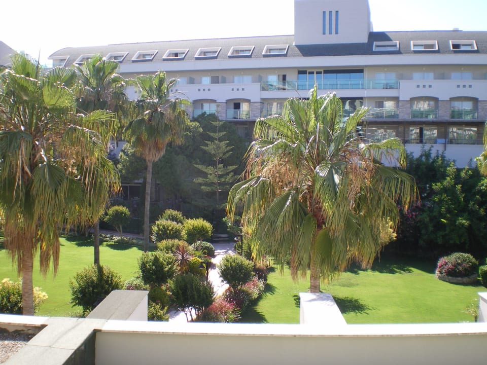 Blick in den Garten von unseren Zimmern aus  Hotel Oleander