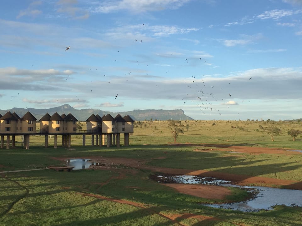 "Außenansicht" Salt Lick Safari Lodge (Taita Hills) • HolidayCheck (Provinz Coast Kenia)