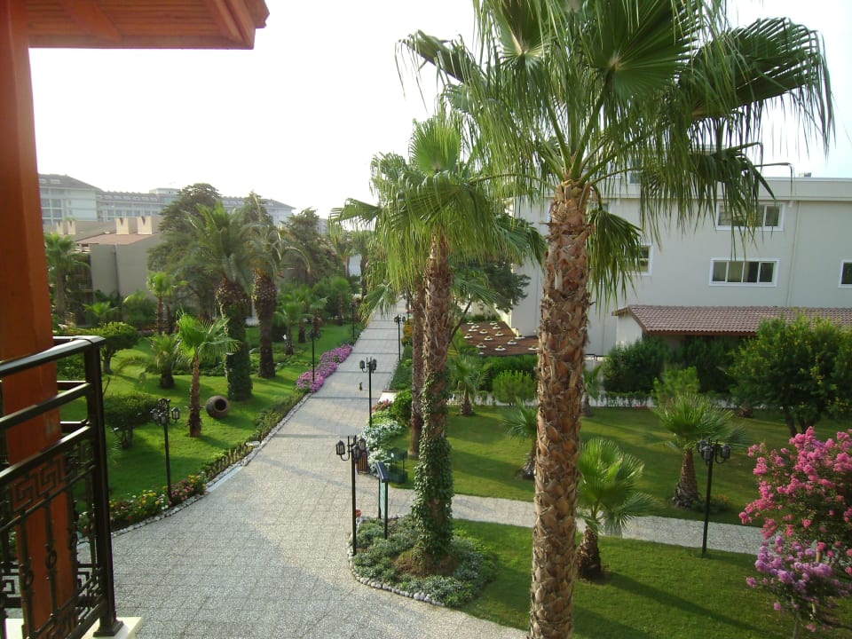 Blick von unserer Terrasse Richtung Meer Paloma Oceana