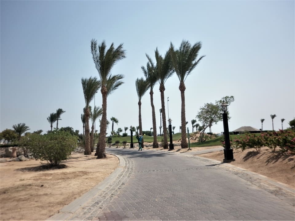 Sonstiges Steigenberger Aqua Magic