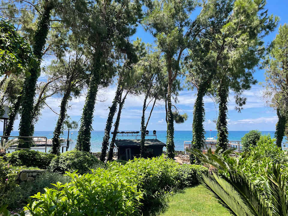 Ausblick PALOMA Perissia