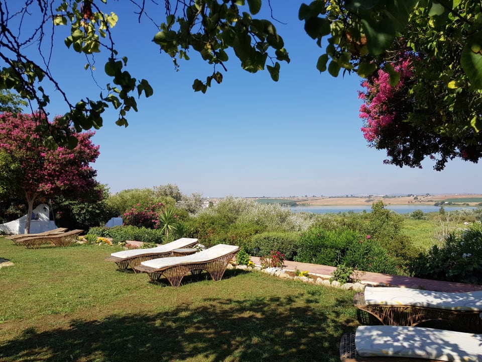 Gartenanlage Keytel Hacienda El Santiscal - Adults only