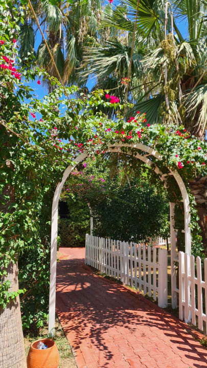 Gartenanlage Hane Family Resort