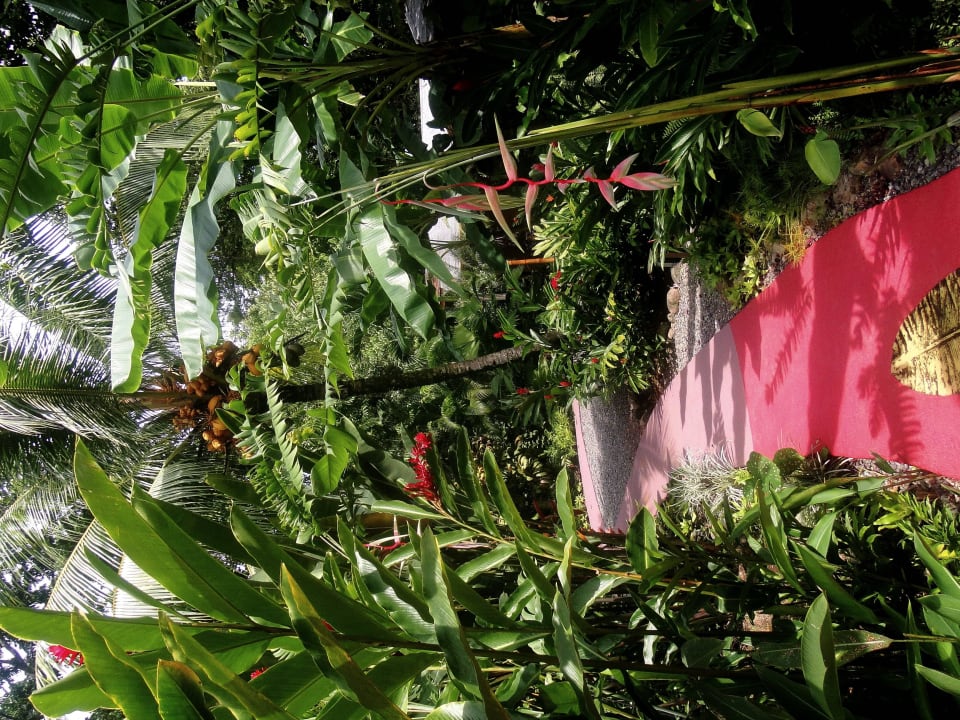 Path in the garden Phidjie Lodge