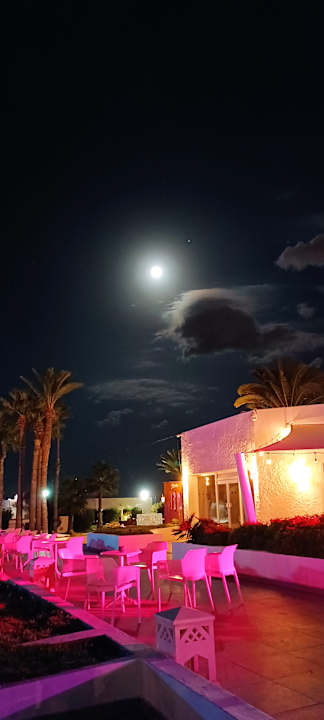 Gartenanlage Hotel Tour Khalef