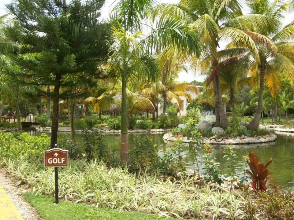 Teichanlage Catalonia Punta Cana - All Inclusive