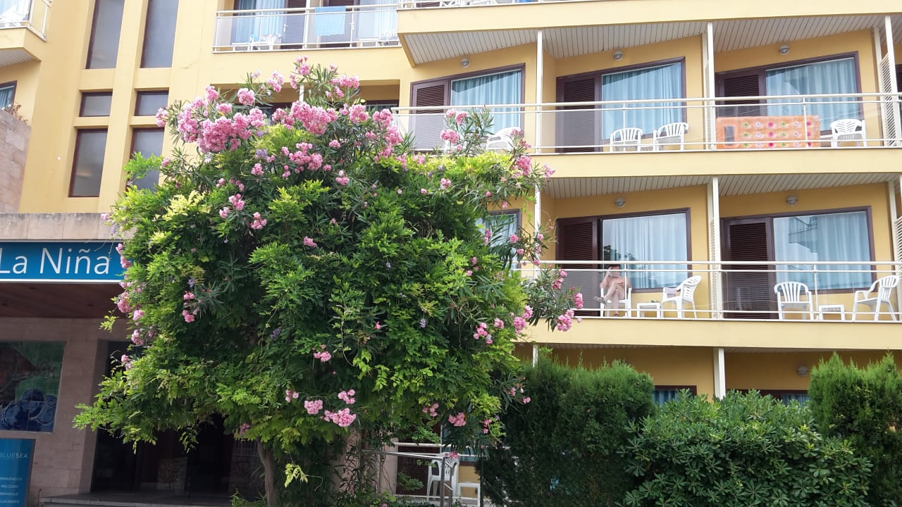 Außenansicht BLUESEA Cala Millor