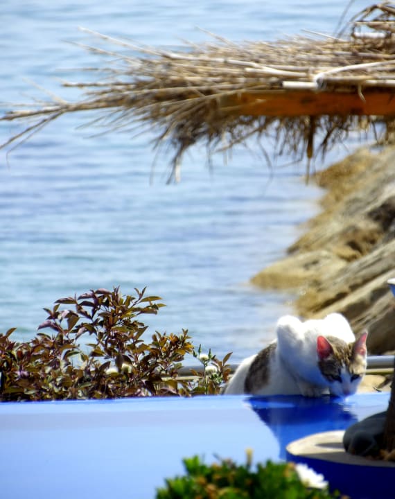 Ausblick The GrandResort By Leonardo Hotels