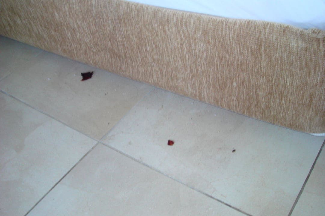 Seitlich von Bett Hotel Süral Resort