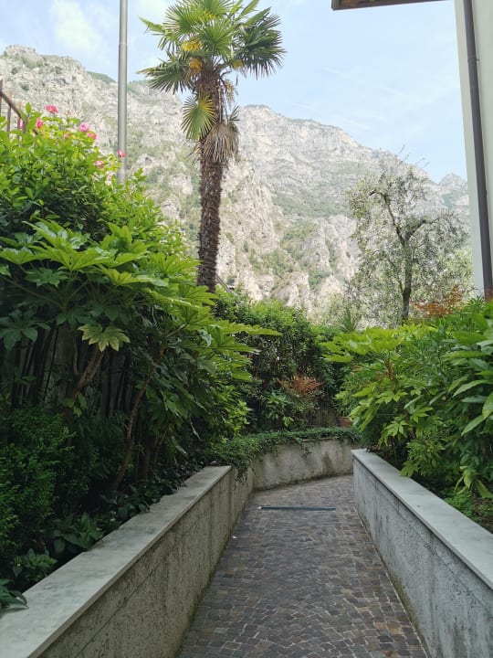 Gartenanlage Hotel Ilma