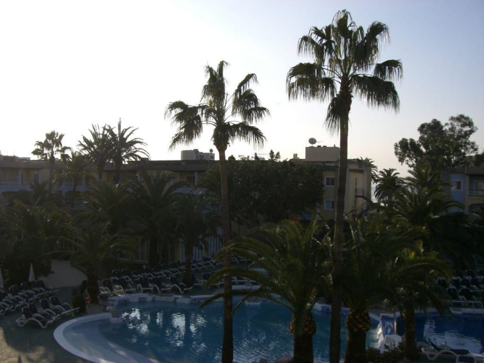 Poolanlage Alcudia Garden Alcudia Garden Aparthotel