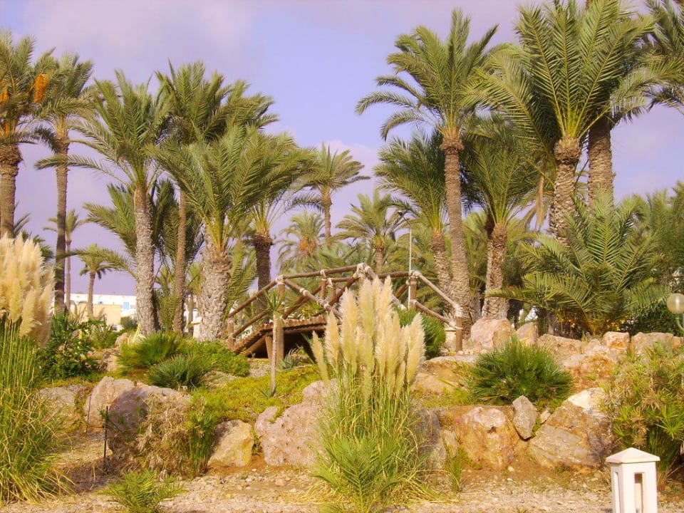 Gartenanlage vor Hoteleingang Zita Beach Resort