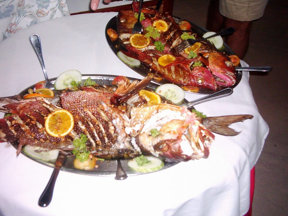 Fisch vom Nachtangeln Summer Island Maldives