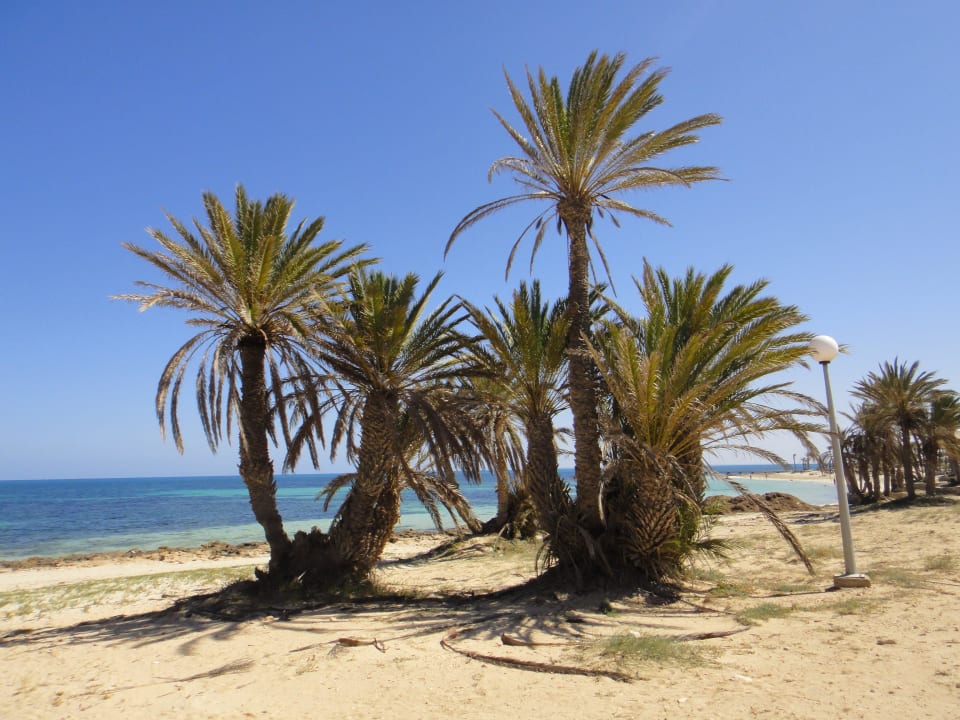 Weiter am strand nach links Hotel El Mouradi Djerba Menzel
