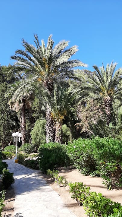 Gartenanlage Marhaba Royal Salem