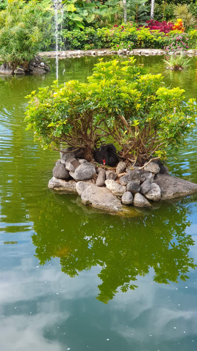 Gartenanlage Hotel Botanico & The Oriental Spa Garden