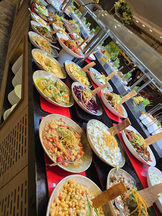 Gastro Seashell Vega