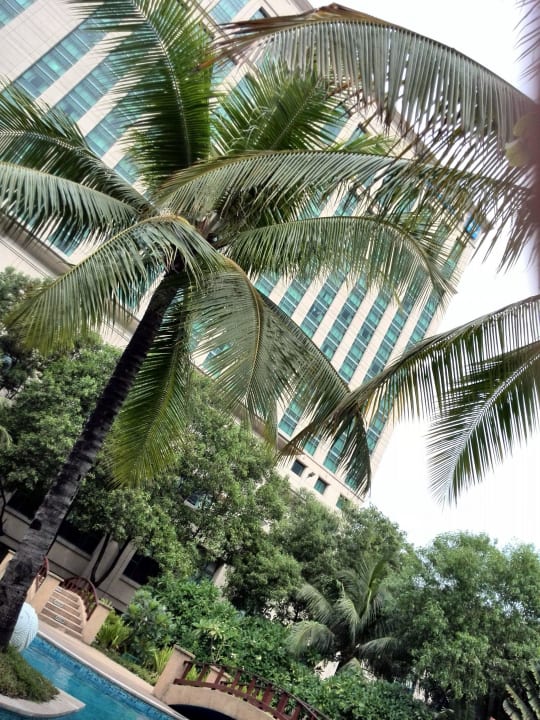 Poolanlage Radisson Blu Cebu