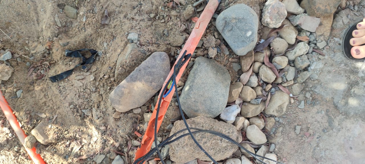 Gartenanlage Beach Safari Nubian Resort