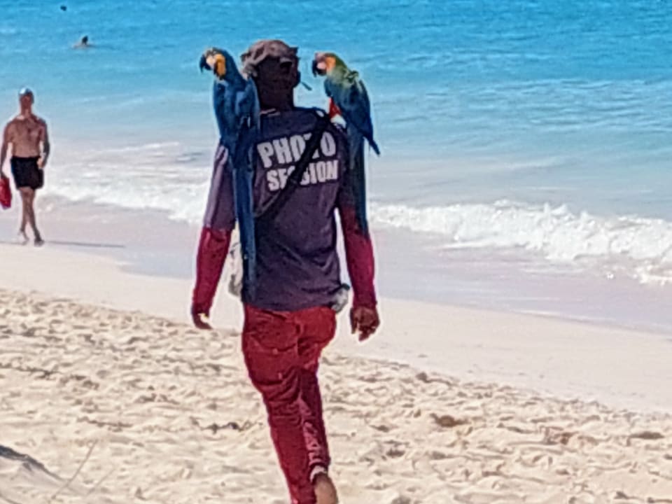 Sport & Freizeit Grand Palladium Punta Cana Resort & Spa