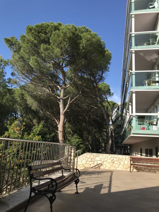 Außenansicht Hotel Aurora