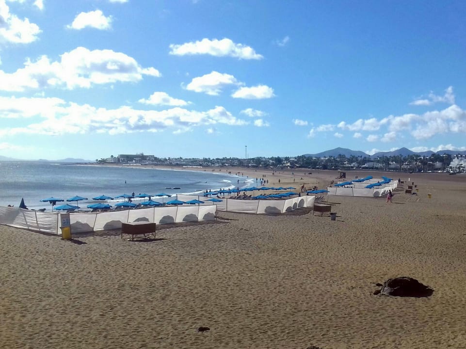 Weihnachten 2018 am top Sandstrand ca 18-20 Grad Wassertempe Apartamentos LIVVO Morromar