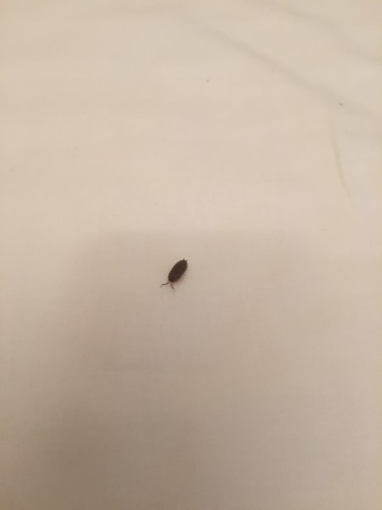 Zimmer BLOCK Hotel & Living