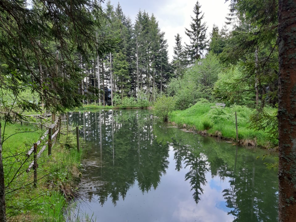 Ausblick Der WILDe EDER