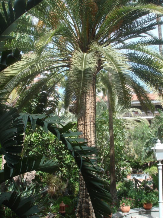Ausblick aus unserem Zimmer Hotel Parque Tropical