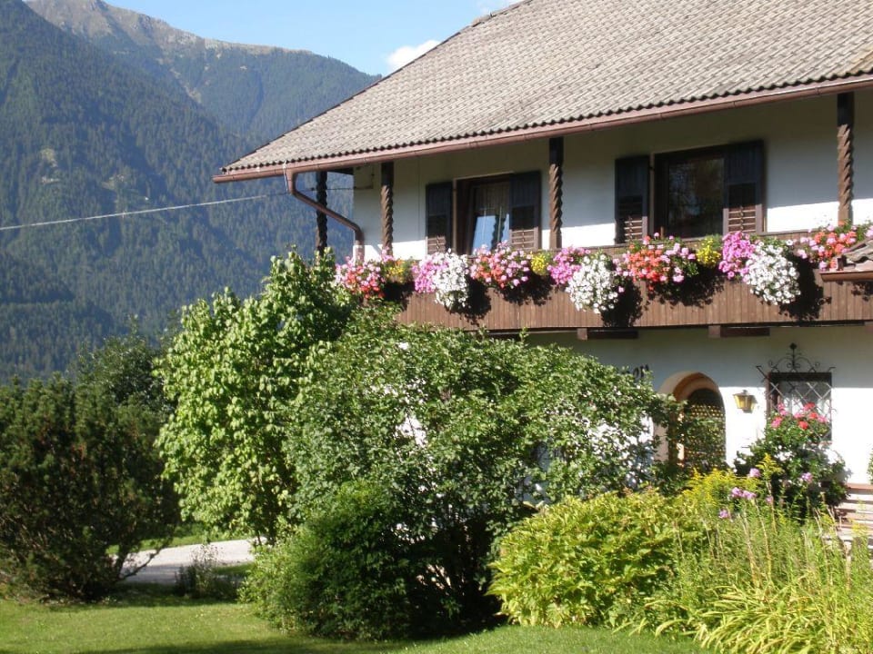 Oberlechnerhof im Sommer Apartments B&B Oberlechnerhof