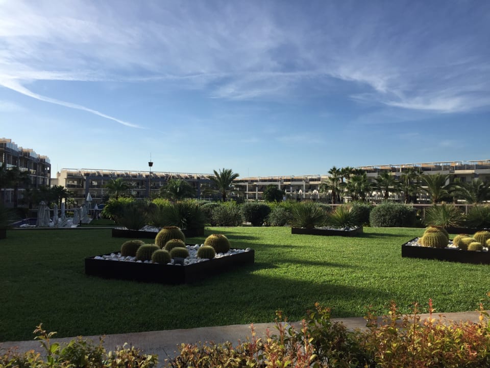 Gartenanlage Zafiro Palace Alcudia