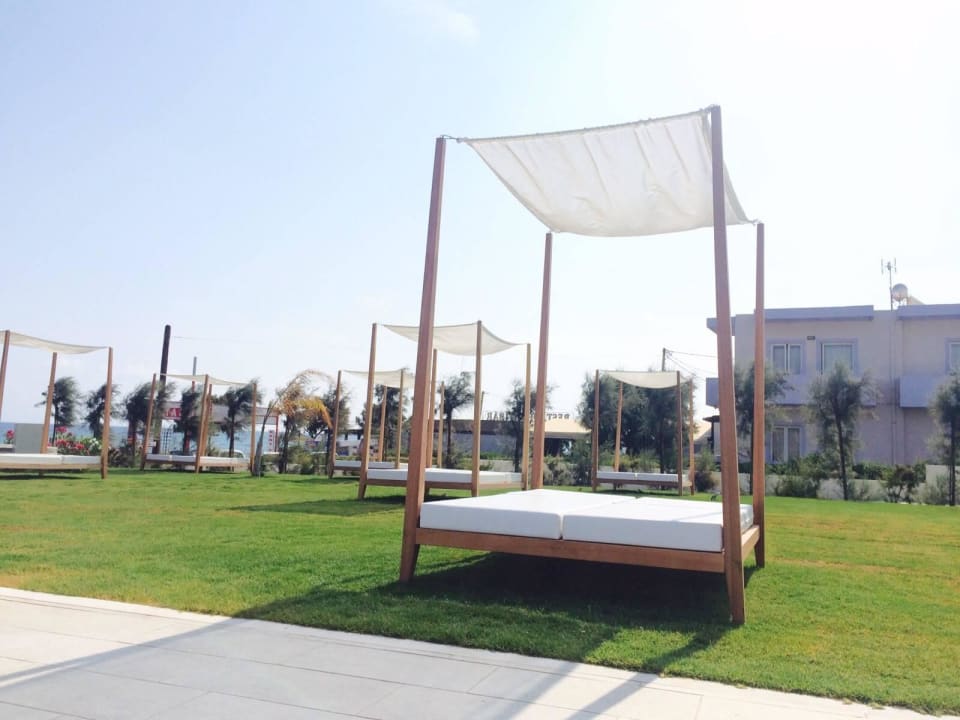 Liegen beim Pool TUI BLUE Insula Alba