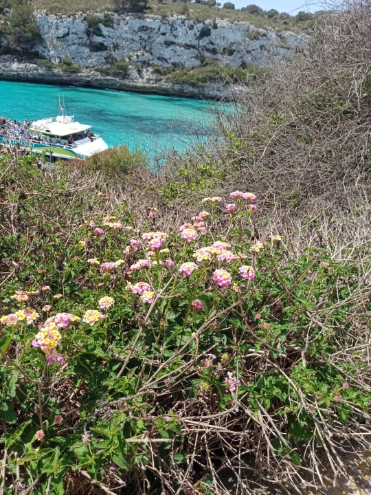 Ausblick blau punta reina