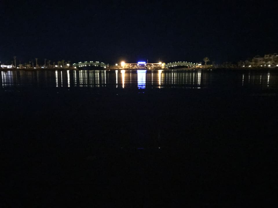 Ausblick Desert Rose