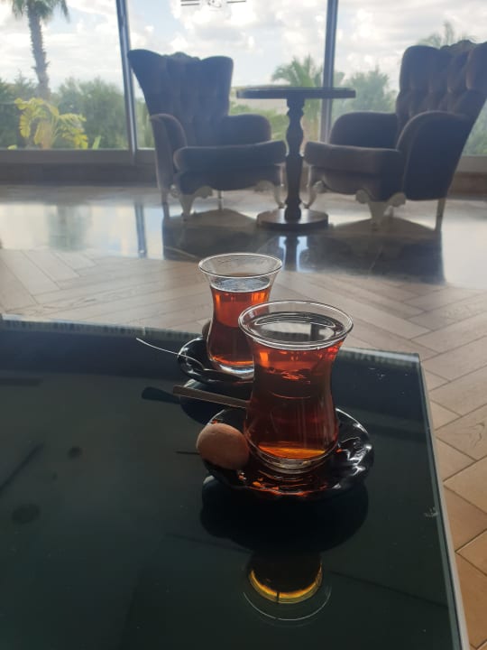 Gastro Saturn Palace Resort Hotel