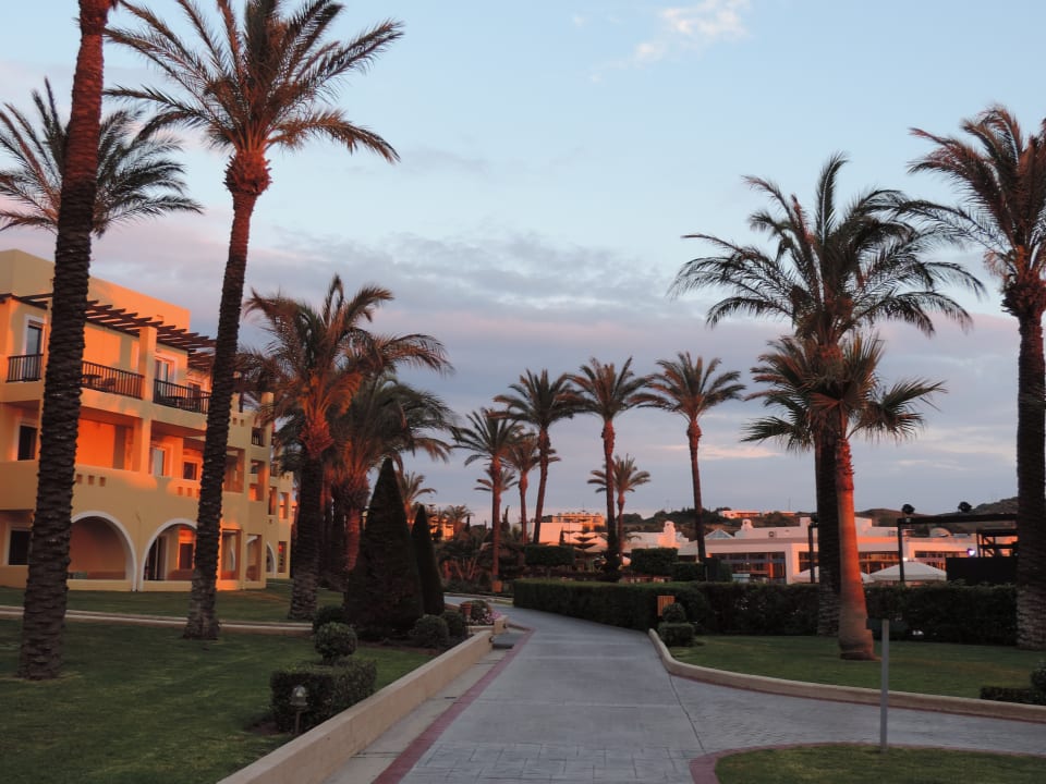 Gartenanlage Hotel Horizon Beach Resort