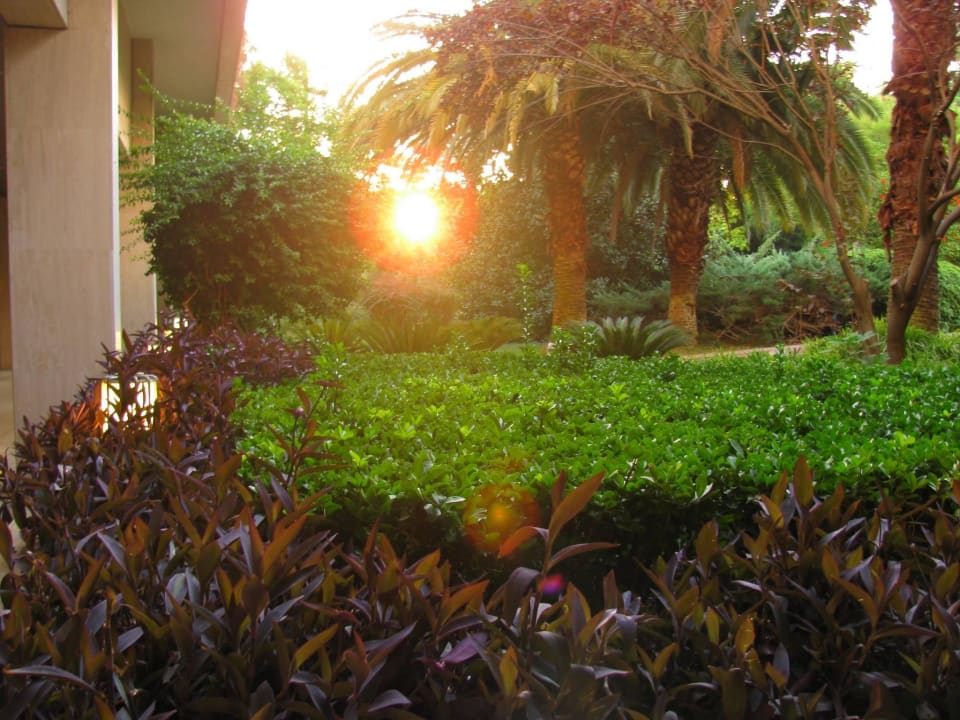 Утро.. Hotel Özkaymak Falez