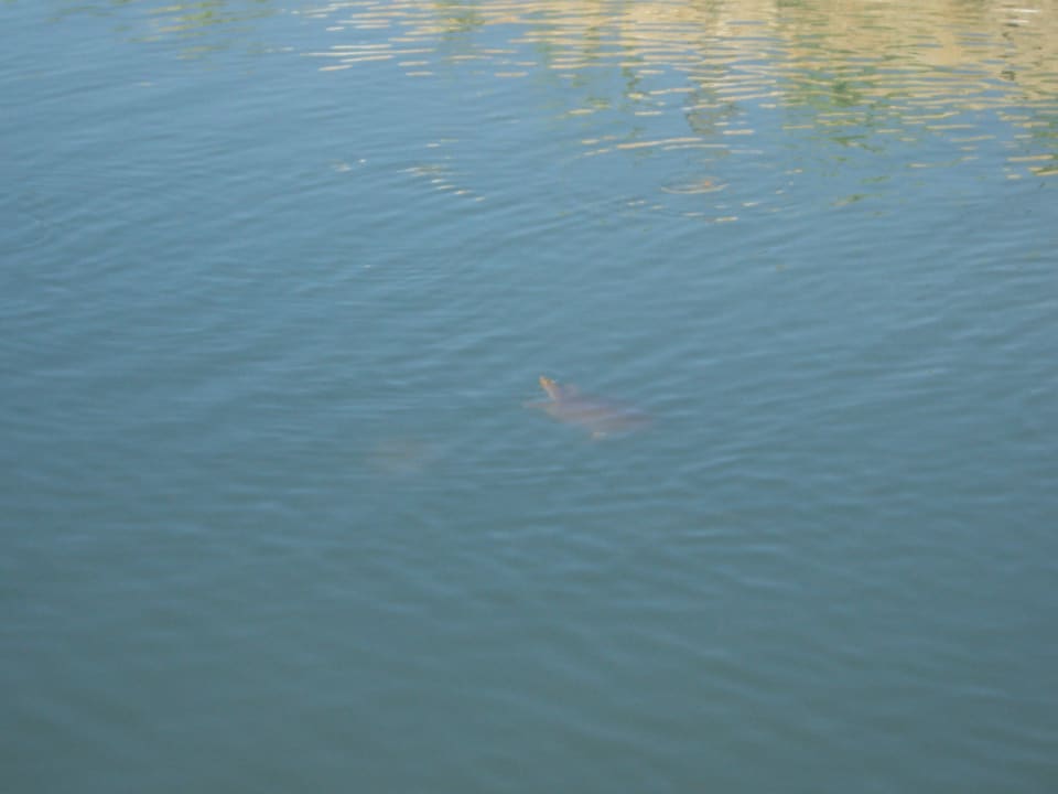 Kareta FUN&SUN Smart Hane Sun Hotel