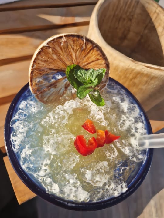 Gastro JAZ Elite Amara