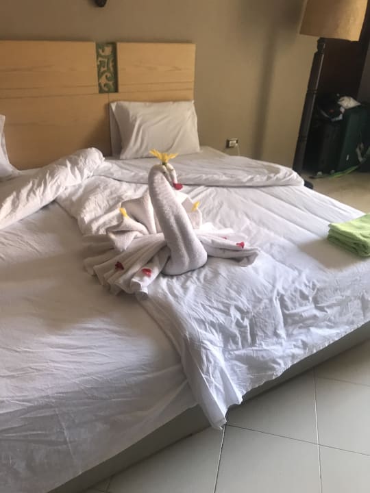 Zimmer Regina Resort and Aqua Park Hurghada