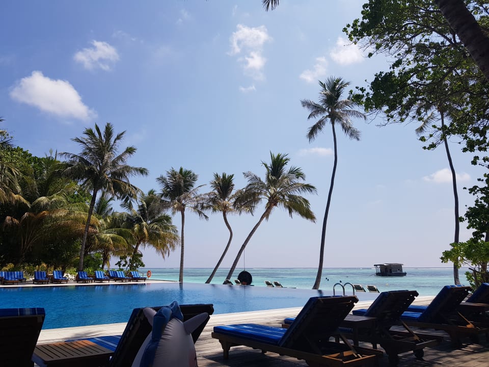 Pool Meeru Maldives Resort Island