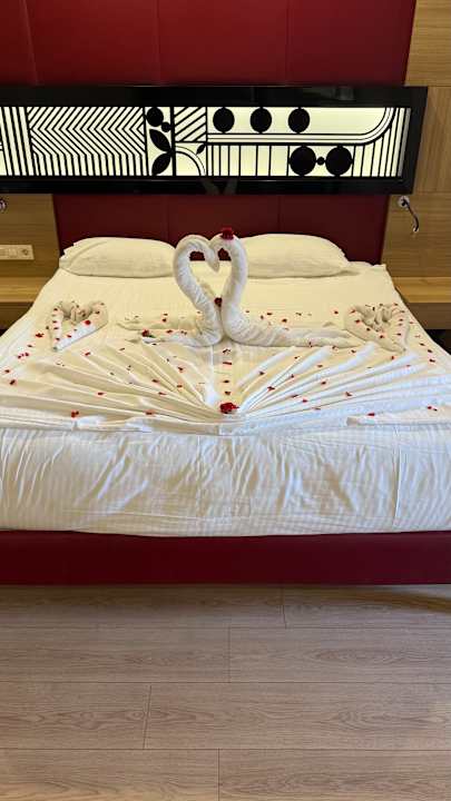 Zimmer Hotel Delphin Imperial