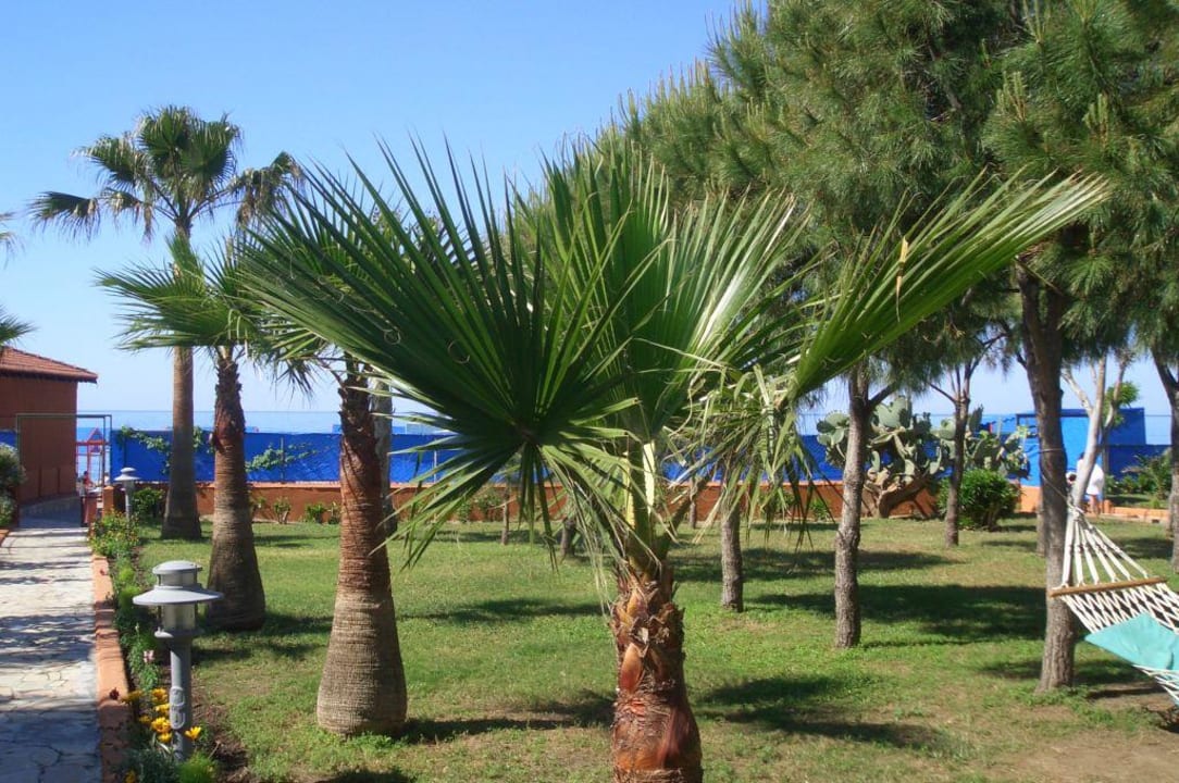 Gartenanlage Club Turtas Beach Hotel