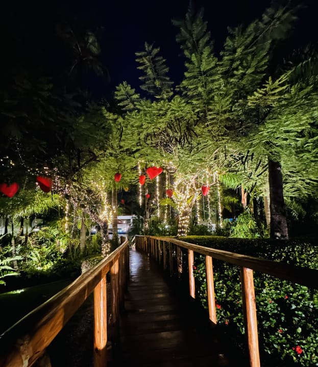 Gartenanlage TRS Turquesa Hotel - Adults only