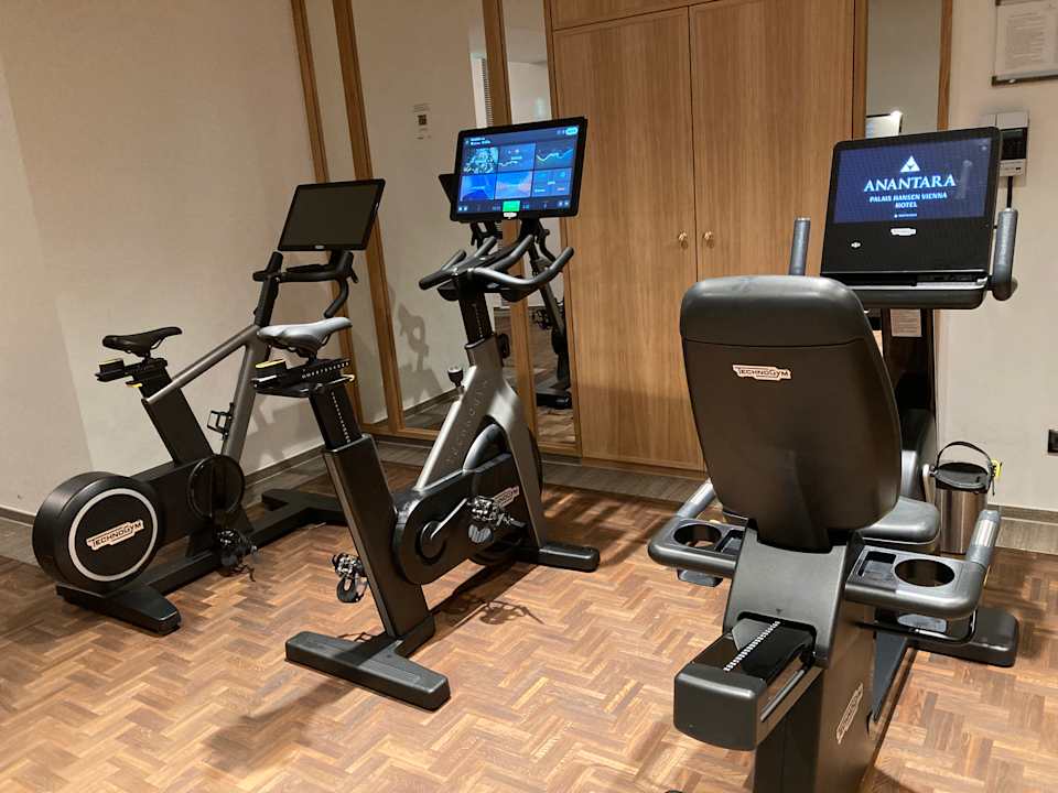 Sport & Freizeit Anantara Palais Hansen Vienna Hotel