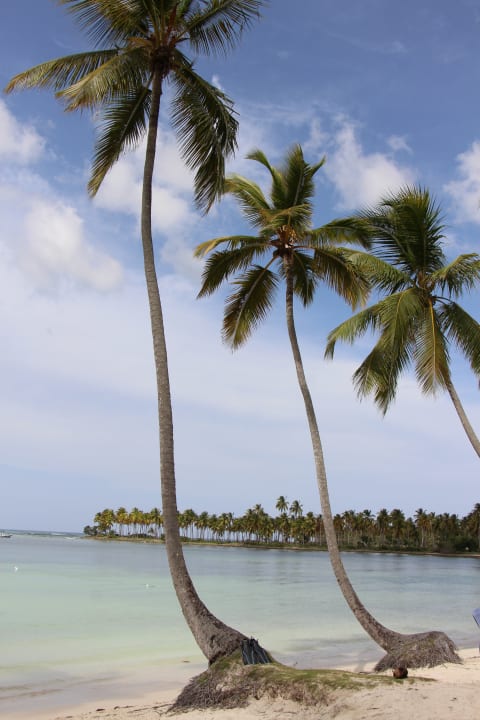 Strand Wyndham Alltra Samana