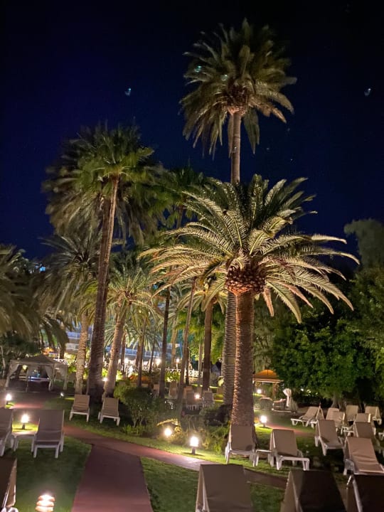 Gartenanlage Bull Costa Canaria & Spa - Adults only