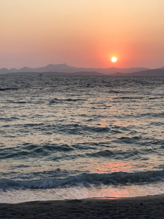 Sonstiges TUI MAGIC LIFE Bodrum - Adult Only (16+)